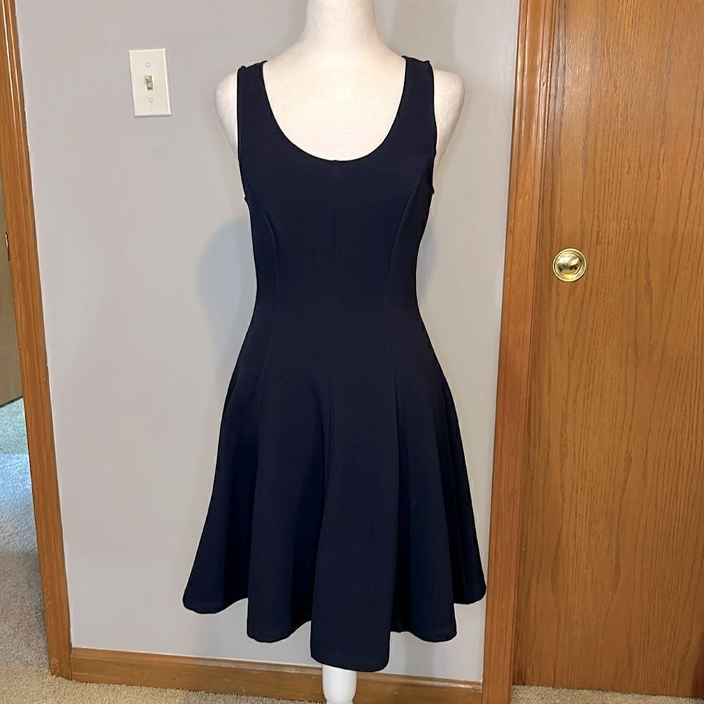 Everly Blue Scoop Neck Sleeveless Fit Flare Textured Striped Dress Size S